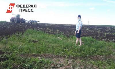 В Зиминском районе ликвидировали поле с коноплей - fedpress.ru - Россия - Иркутская обл. - Екатеринбург - Иркутск