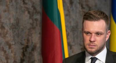 Александр Лукашенко - Владимир Макей - Литва обвиняет Белоруссию в «гибридной войне» и требует новых санкций - eadaily.com - Белоруссия - Литва - Минск