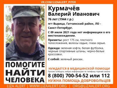 Элизабет Алерт - В Вырице без вести пропал 76-летний мужчина - ivbg.ru - Украина - Ленобласть