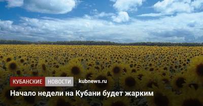 Начало недели на Кубани будет жарким - kubnews.ru - Россия - Сочи - Краснодарский край - Краснодар