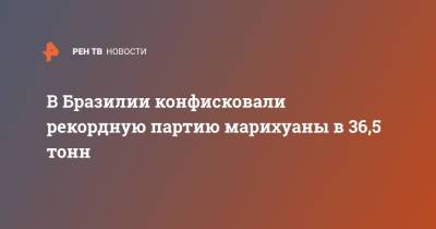В Бразилии конфисковали рекордную партию марихуаны в 36,5 тонн - ren.tv - Бразилия - Сан-Паулу - Парагвай