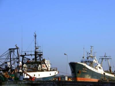 Япония отпустила задержанное после аварии российские судно - rosbalt.ru - Россия - Япония - Невельск