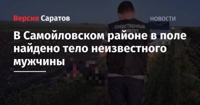 В Самойловском районе в поле найдено тело неизвестного мужчины - nversia.ru - Россия