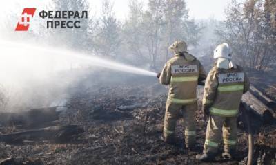 В Тольятти ввели режим ЧС из-за лесного пожара - fedpress.ru - Россия - Кировская обл. - Самара - Самарская обл. - Тольятти