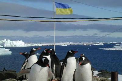 В Антарктиде переименовали полуостров Киев - novostiua.news - Украина - Киев - Антарктида - Kiev