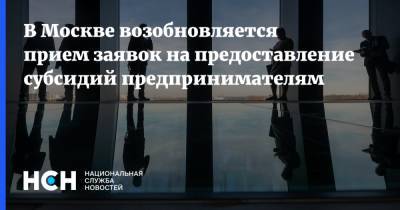 Наталья Сергунина - В Москве возобновляется прием заявок на предоставление субсидий предпринимателям - nsn.fm - Москва - Россия
