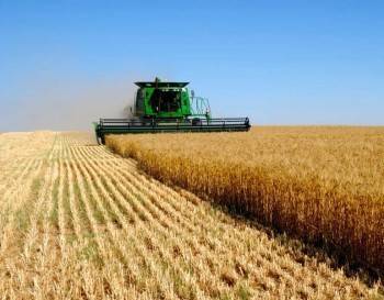 Час быка: сельхозчиновники хотят повысить продуктивность скота цифровым способом - vologda-poisk.ru - Россия - США - Аргентина