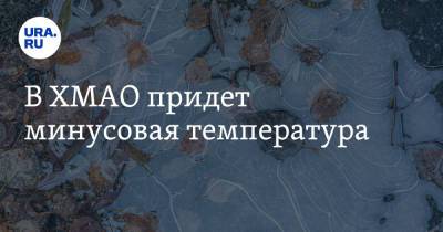 В ХМАО придет минусовая температура - ura.news - Ханты-Мансийск - Югра