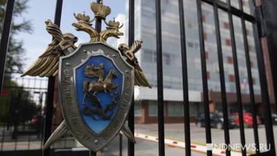 СК выясняет причины гибели екатеринбургского фотографа Елены Мормоль - newdaynews.ru - Екатеринбург