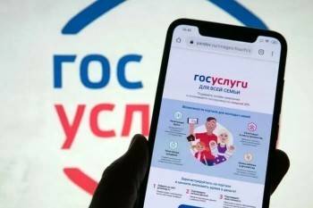 Видеоинструкция: как заполнить заявление на выплату в 10 тысяч рублей на школьника - vologda-poisk.ru - Россия - Вологда