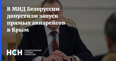 Владимир Макей - В МИД Белоруссии допустили запуск прямых авиарейсов в Крым - nsn.fm - Крым - Белоруссия - Минск