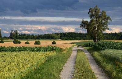 Более полутысячи сделок купли-продажи земли заключили в Украине - agroportal.ua - Украина