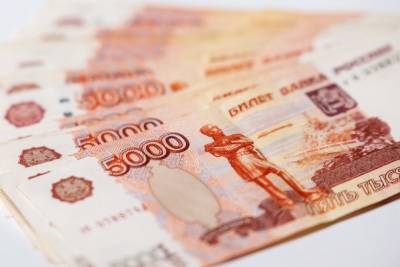 Михаил Мишустин - 2,5 млн рублей получит Псковская область на развитие сельских территорий - mk-pskov.ru - Псковская обл. - Псков