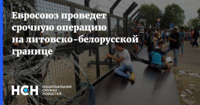 Александр Лукашенко - Евросоюз проведет срочную операцию на литовско-белорусской границе - nsn.fm - Белоруссия - Литва - Минск