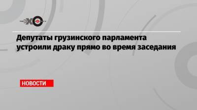 Ираклий Гарибашвили - Депутаты грузинского парламента устроили драку прямо во время заседания - echo.msk.ru - Грузия