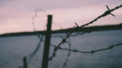 ЕС начинает срочную пограничную операцию на границе Литвы с Белоруссией - piter.tv - Белоруссия - Литва - Конго - Гамбия - Гвинея