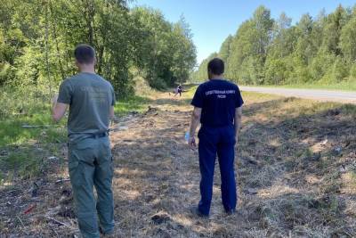 Возбуждено уголовное дело по факту гибели пенсионера в результате ДТП под Псковом - mk-pskov.ru - Россия - Псковская обл. - Псков - Великий Новгород