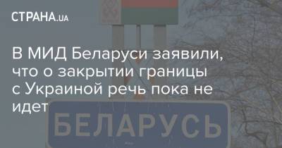 Александр Лукашенко - Владимир Макей - В МИД Беларуси заявили, что о закрытии границы с Украиной речь пока не идет - strana.ua - Россия - Украина - Белоруссия