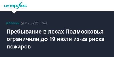 Андрей Разин - Пребывание в лесах Подмосковья ограничили до 19 июня из-за риска пожаров - interfax.ru - Москва - Россия - Московская обл.