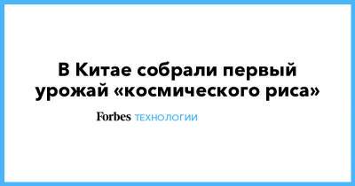 В Китае собрали первый урожай «космического риса» - forbes.ru - Китай - Продовольствие