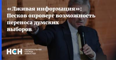 Дмитрий Песков - Элла Памфилова - «Лживая информация»: Песков опроверг возможность переноса думских выборов - nsn.fm - Россия