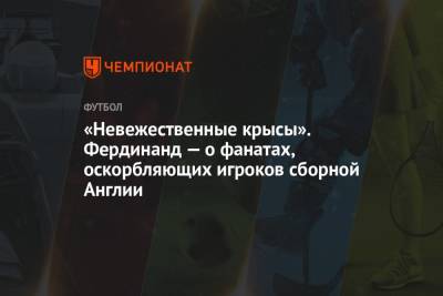 Фердинанд Рио - «Невежественные крысы». Фердинанд — о фанатах, оскорбляющих игроков сборной Англии - championat.com - Англия - Италия