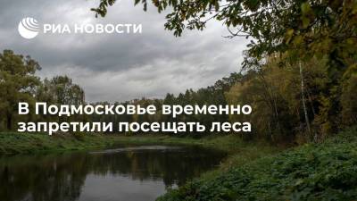 Андрей Разин - Лесхоз ввел ограничения на посещение леса из-за угрозы пожара в Московской области - ria.ru - Москва - Россия - Московская обл.