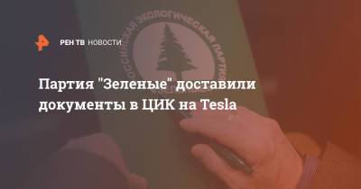 Андрей Нагибин - Партия "Зеленые" доставили документы в ЦИК на Tesla - ren.tv - Россия