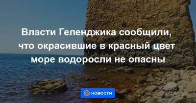 Власти Геленджика сообщили, что окрасившие в красный цвет море водоросли не опасны - news.mail.ru - Краснодар - Геленджик