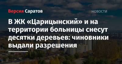 В ЖК «Царицынский» и на территории больницы снесут десятки деревьев: чиновники выдали разрешения - nversia.ru - Саратов - район Ленинский - район Фрунзенский