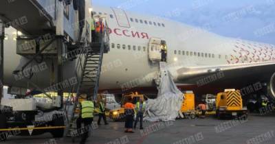 Владимир Кузнецов - Пассажир объяснил, зачем открыл дверь самолета в Шереметьево - ren.tv - Москва