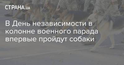 В День независимости в колонне военного парада впервые пройдут собаки - strana.ua - Украина - Киев - КНДР