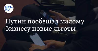 Владимир Путин - Борис Титов - Путин пообещал малому бизнесу новые льготы - ura.news - Россия
