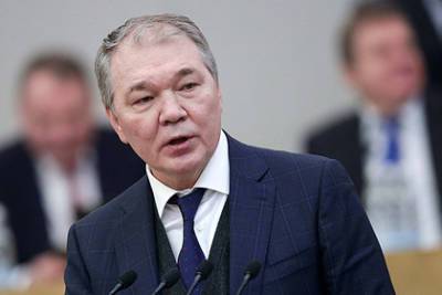 Леонид Калашников - В Госдуме назвали срочную пограничную операцию ЕС очередными глупостями - lenta.ru - Белоруссия - Литва - Вильнюс