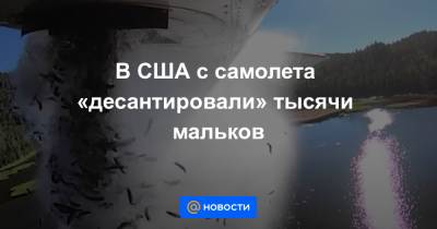 Анна Лысенко - В США с самолета «десантировали» тысячи мальков - news.mail.ru - USA - Юта