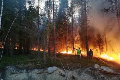 Пожарным удалось локализовать пожар в Суоярвском районе - karel.mk.ru - район Суоярвский - республика Карелия