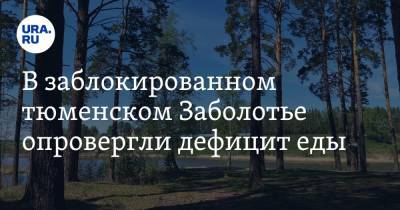 В заблокированном тюменском Заболотье опровергли дефицит еды - ura.news - Тюменская обл. - район Тобольский