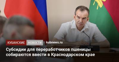 Вениамин Кондратьев - Субсидии для переработчиков пшеницы собираются ввести в Краснодарском крае - kubnews.ru - Краснодарский край