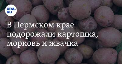 В Пермском крае подорожали картошка, морковь и жвачка - ura.news - Пермский край