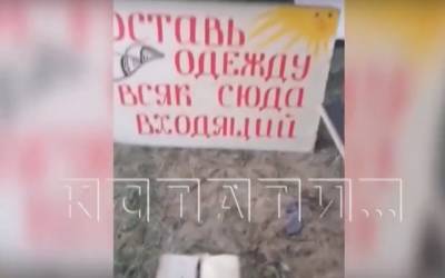 Полиция проводит проверку фестиваля нудистов на Волге в Нижегородской области - vgoroden.ru - Россия - Нижегородская обл. - Нижний Новгород