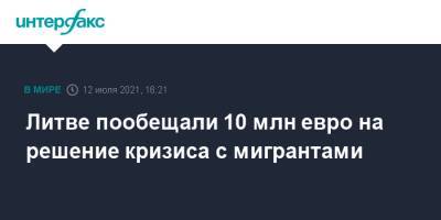 Александр Лукашенко - Габриэлюс Ландсбергис - Арвидас Анушаускас - Агне Билотайте - Литве пообещали 10 млн евро на решение кризиса с мигрантами - interfax.ru - Москва - Белоруссия - Литва