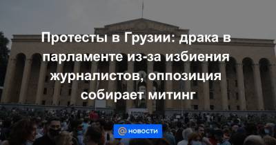 Ираклий Гарибашвили - Протесты в Грузии: драка в парламенте из-за избиения журналистов, оппозиция собирает митинг - news.mail.ru - Грузия