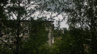 В Ленобласти объявили штормовое предупреждение: ожидают дожди, грозы и град - piter.tv - Ленинградская обл.