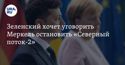 Владимир Зеленский - Ангела Меркель - Сергей Никифоров - Зеленский хочет уговорить Меркель остановить «Северный поток-2» - ura.news - Украина - Германия