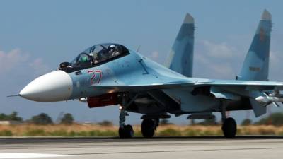 В Дании заявили, что российские истребители Су-30 пугают Копенгаген - inforeactor.ru - Россия - Дания - Копенгаген