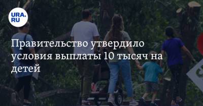 Владимир Путин - Правительство утвердило условия выплаты 10 тысяч на детей - ura.news - Россия