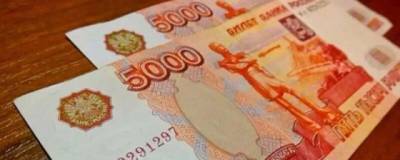 В Кабмине утвердили правила выплат по 10 тысяч рублей на ребенка к началу учебного года - runews24.ru - Россия