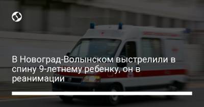 В Новоград-Волынском выстрелили в спину 9-летнему ребенку, он в реанимации - liga.net - Украина