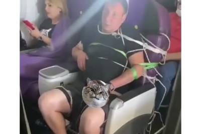 Связанный пассажир бизнес-класса справил нужду в самолете авиакомпании S7 - versia.ru - Москва - Чита