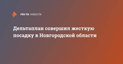 Дельтаплан совершил жесткую посадку в Новгородской области - ren.tv - Печора - Новгородская обл.